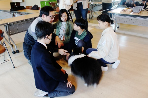 50c0ec73834fedf371d98804e131ea46_1552549